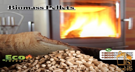 وود بيليييت